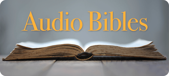Audio Bibles